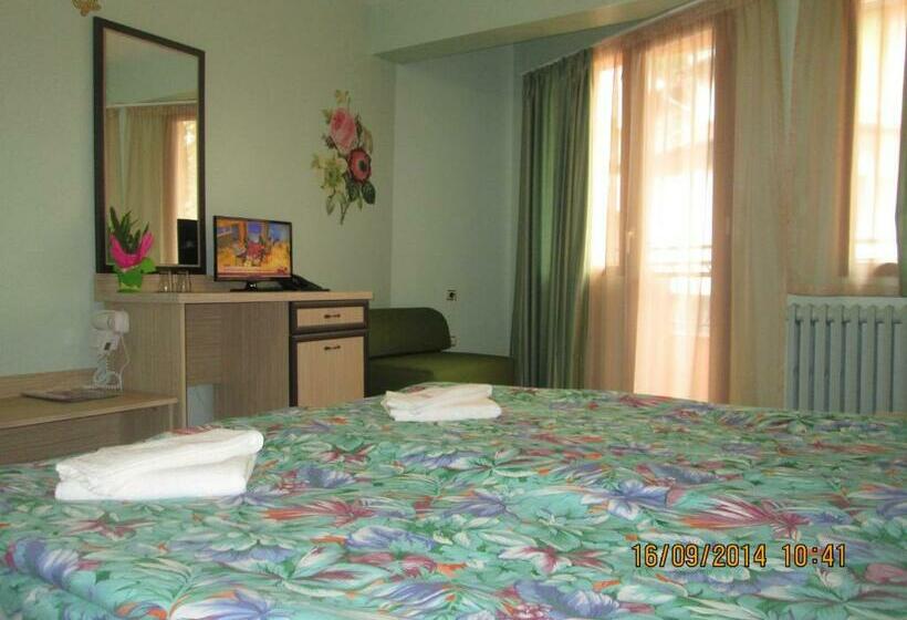 اتاق استاندارد با بالکن, Family Hotel Emaly Green
