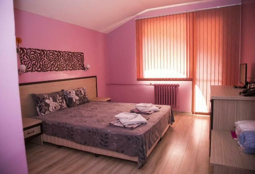 اتاق استاندارد با بالکن, Family Hotel Emaly Green