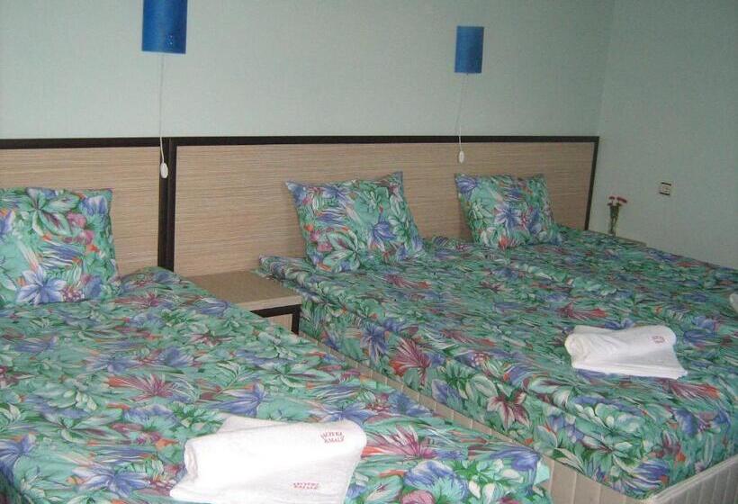 اتاق استاندارد سه نفره, Family Hotel Emaly Green