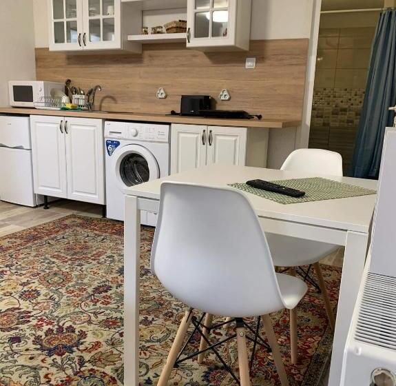 إستوديو قياسى, Pirina Club