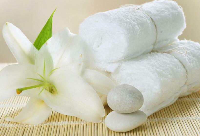 اتاق سوپریور, Lan Anh