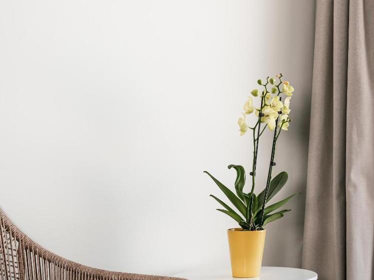 디럭스 스위트 바다 전망, Milos Sea Resort