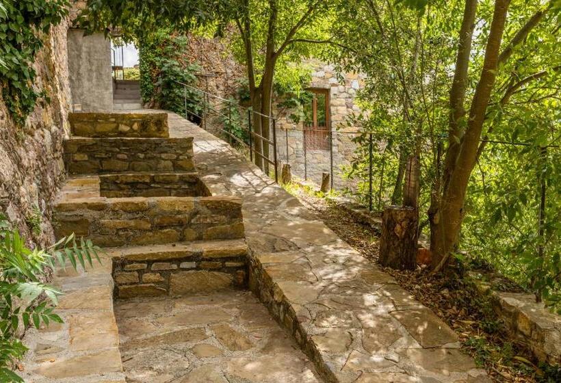 Négyágyas Standard Szoba, Alberg La Solana