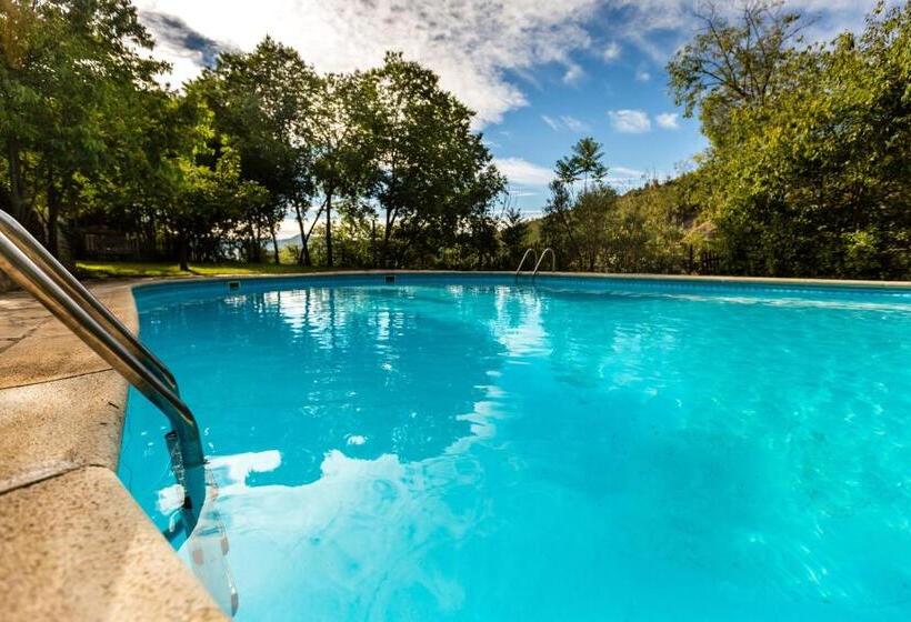 Négyszemélyes Standard Szoba Erléllyel, Alberg La Solana