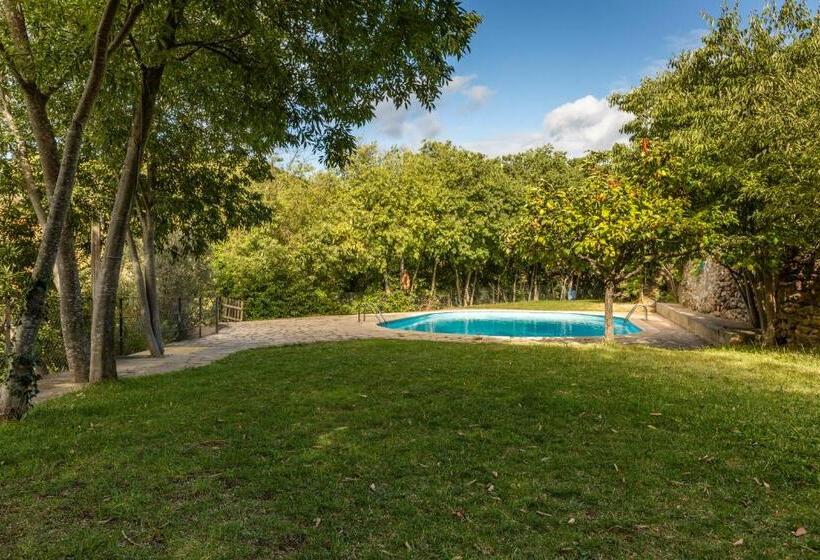 Standard Szoba, Alberg La Solana