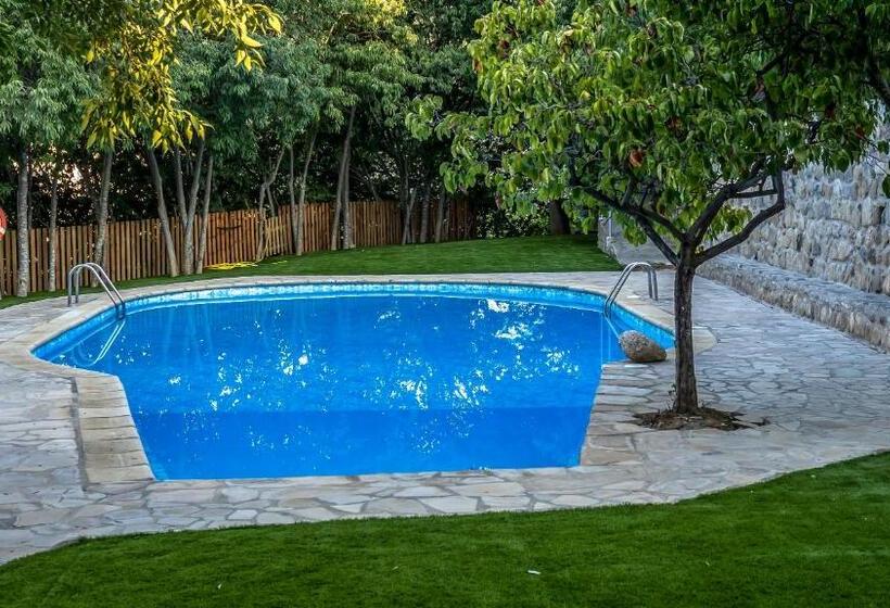 Standard Szoba, Alberg La Solana