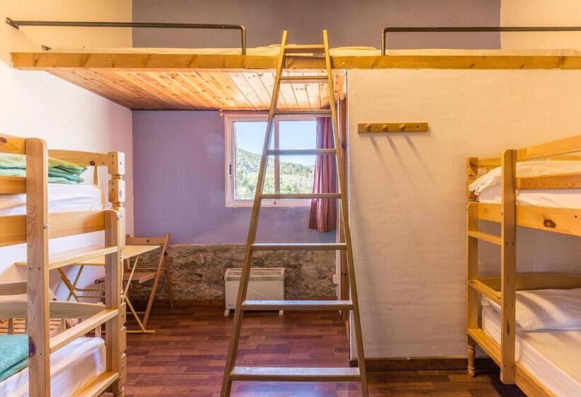 Deluxe Családi Szoba, Alberg La Solana