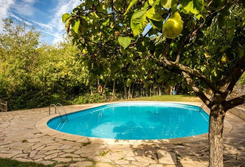 Standard Szoba, Alberg La Solana