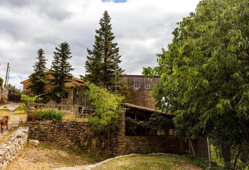 Négyágyas Standard Szoba, Alberg La Solana