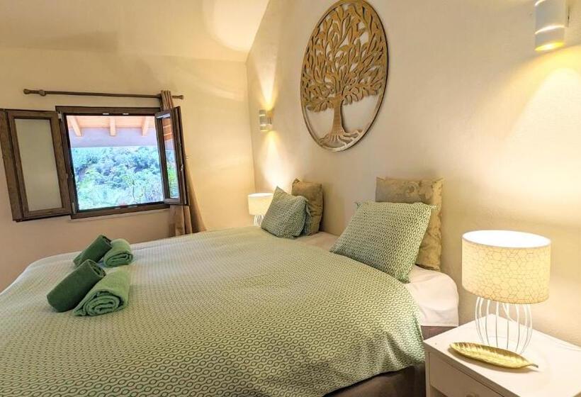 غرفة قياسية مطلّة علي الحديقة, Casa Do Palmeiral   Hoom B&b