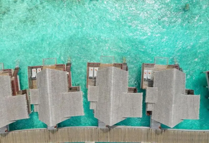 ویلای 1 خوابه, Grand Park Kodhipparu Maldives Child Stay & Eat Free Until 30 Nov 2024
