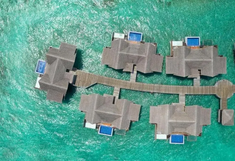 اتاق استاندارد, Grand Park Kodhipparu Maldives Child Stay & Eat Free Until 30 Nov 2024