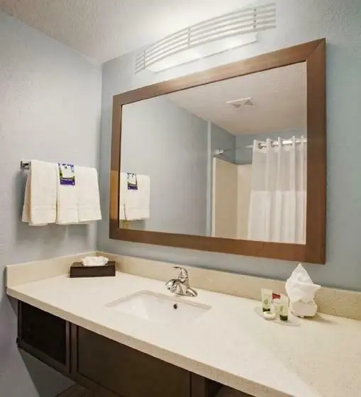 اتاق استاندارد با تخت بزرگ, Iris Garden Inn