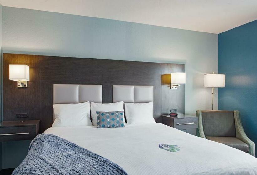 带大床的标准间, Iris Garden Inn