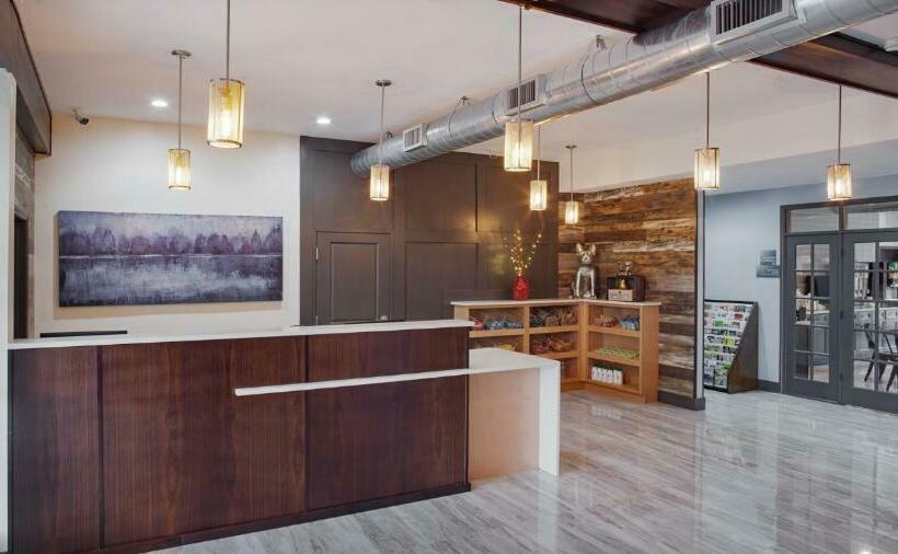 キングサイズベッドのスタンダードルーム, Iris Garden Inn