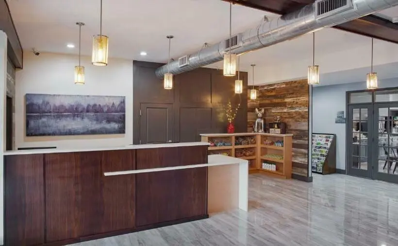 اتاق استاندارد با تخت بزرگ, Iris Garden Inn