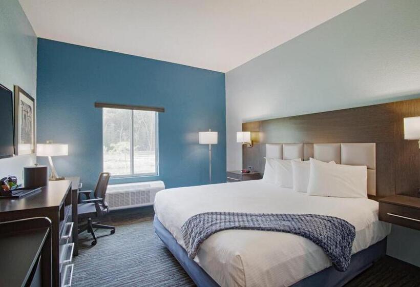 اتاق استاندارد با تخت بزرگ برای معلولان, Iris Garden Inn