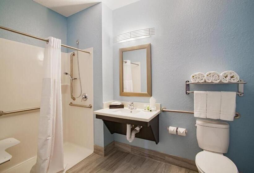 身障者適用キングサイズベッドルーム, Iris Garden Inn