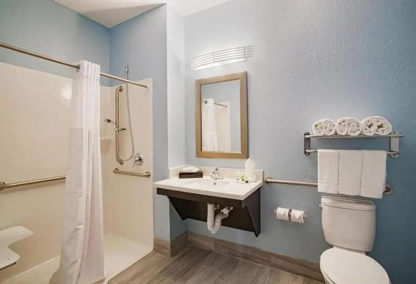 اتاق استاندارد با تخت بزرگ برای معلولان, Iris Garden Inn
