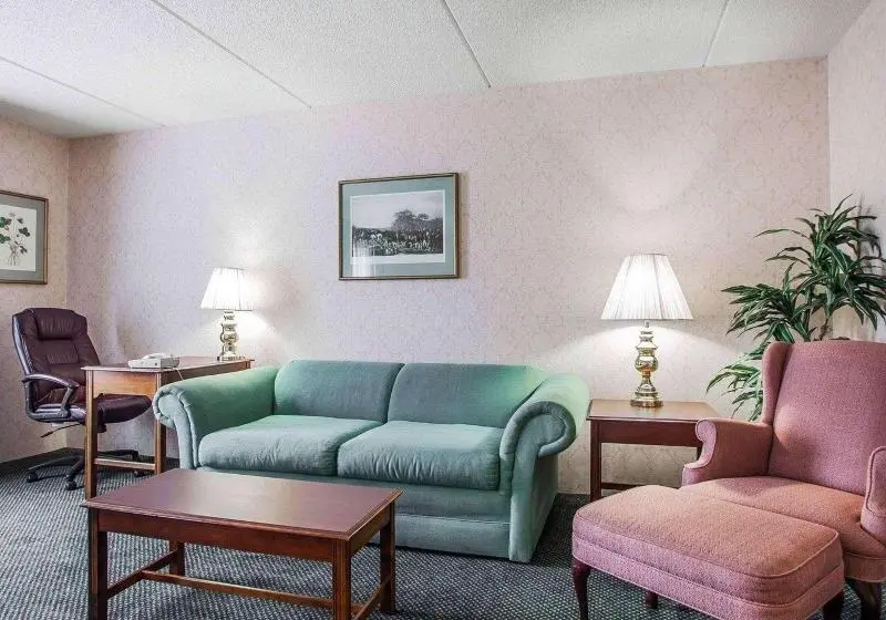 اتاق استاندارد با تخت بزرگ, Iris Garden Inn