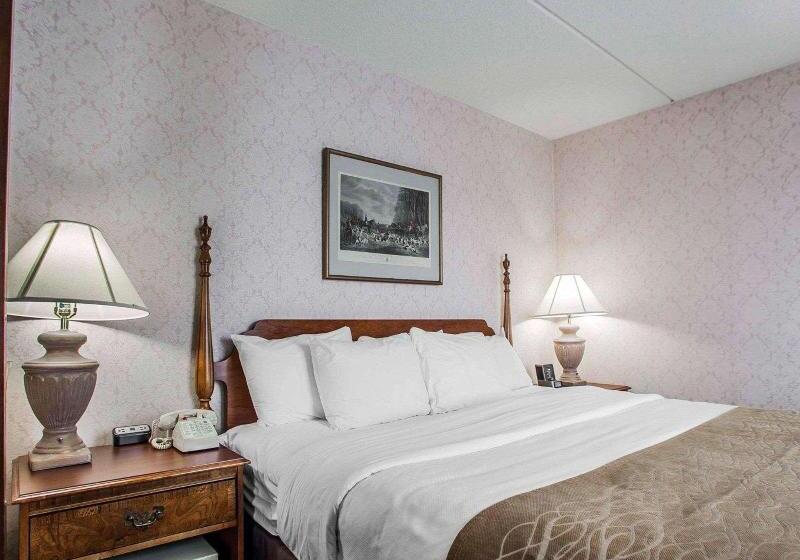 اتاق استاندارد با تخت بزرگ, Iris Garden Inn