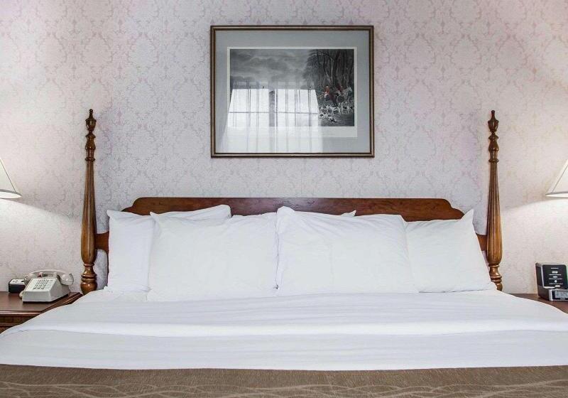 キングサイズベッドのスタンダードルーム, Iris Garden Inn