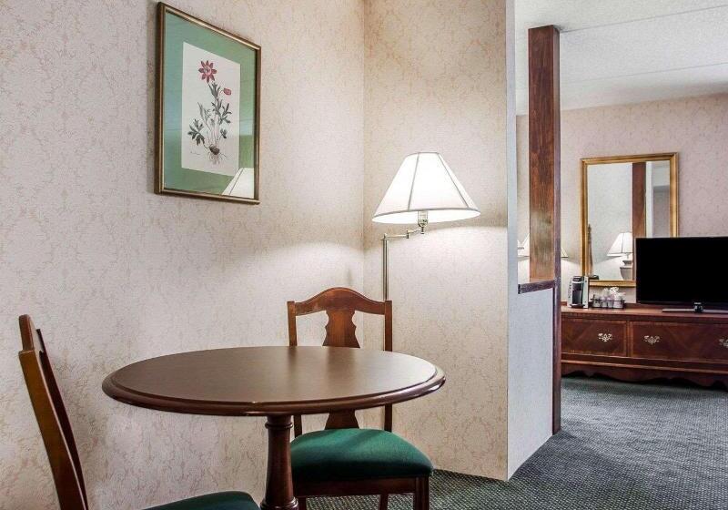 带大床的标准间, Iris Garden Inn