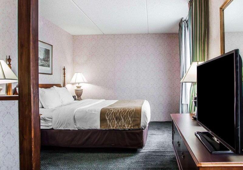 اتاق استاندارد با تخت بزرگ, Iris Garden Inn