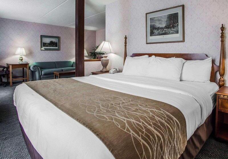 带大床的标准间, Iris Garden Inn