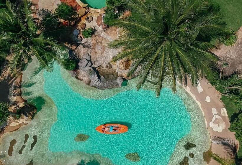 اتاق استاندارد با چشم‌انداز باغ, Rocks Beach Boutique