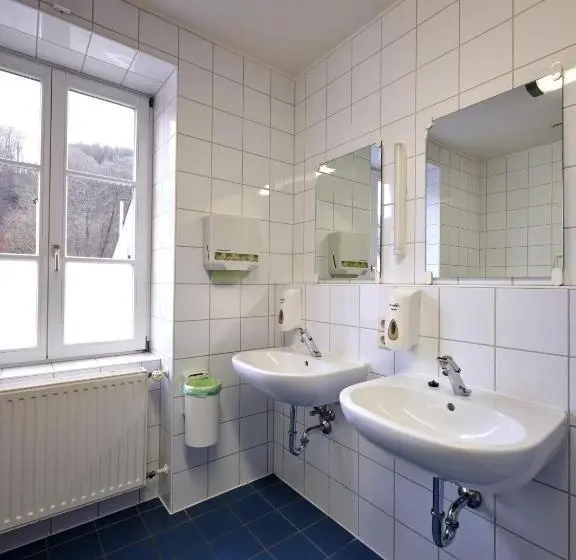 اتاق استاندارد با سرویس بهداشتی مشترک, Youth Hostel Larochette
