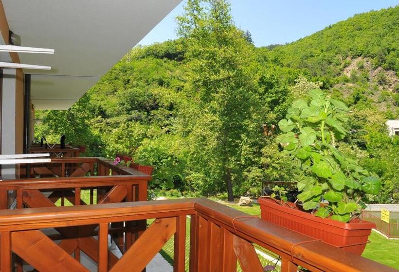 스탠다드 룸, Family Hotel Delta