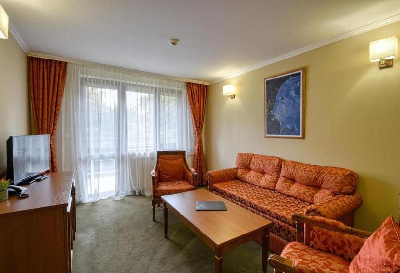 침실 1개 디럭스 아파트, Edelweiss