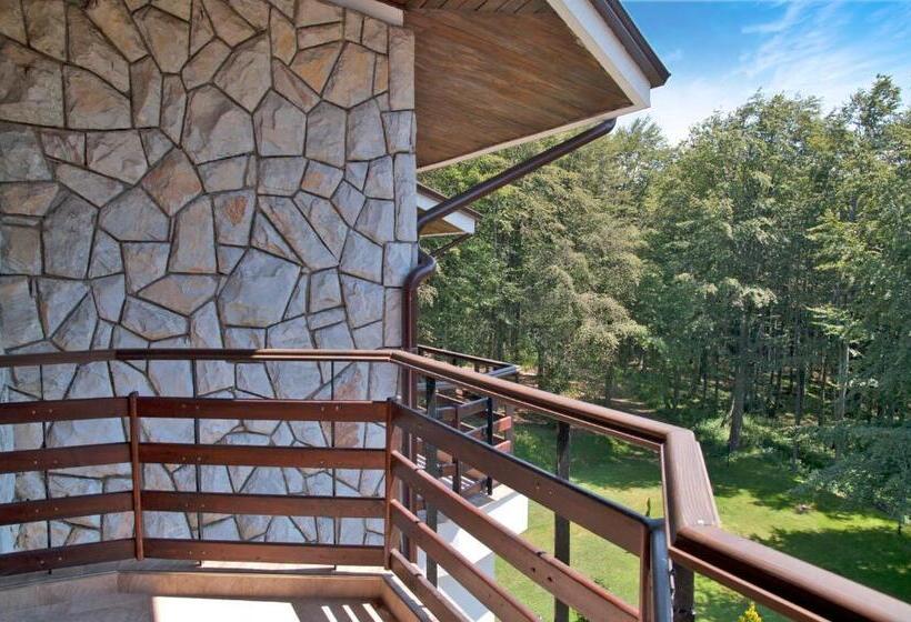 דירת חדר דלוקס, Edelweiss