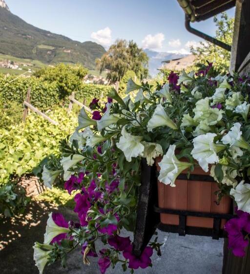 标准单人间, Gasthof Wastl