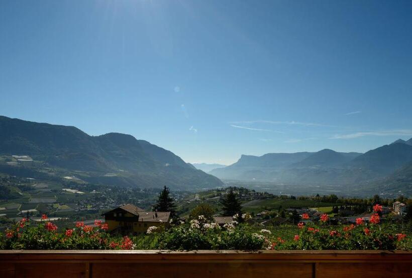 Номер Стандарт, Stefanie