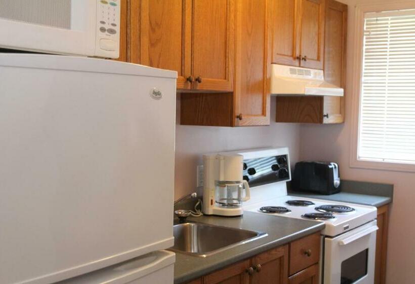 标准间, Saga Resort