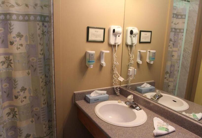 带大床的标准间, Saga Resort