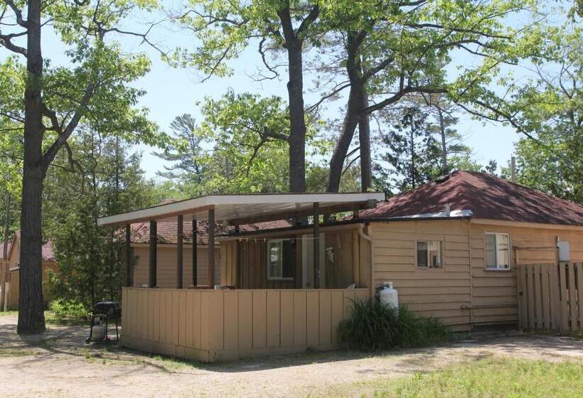 家庭间, Saga Resort