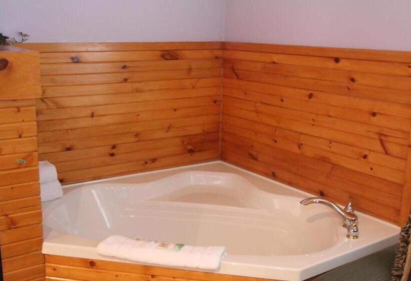 一居室别墅, Saga Resort