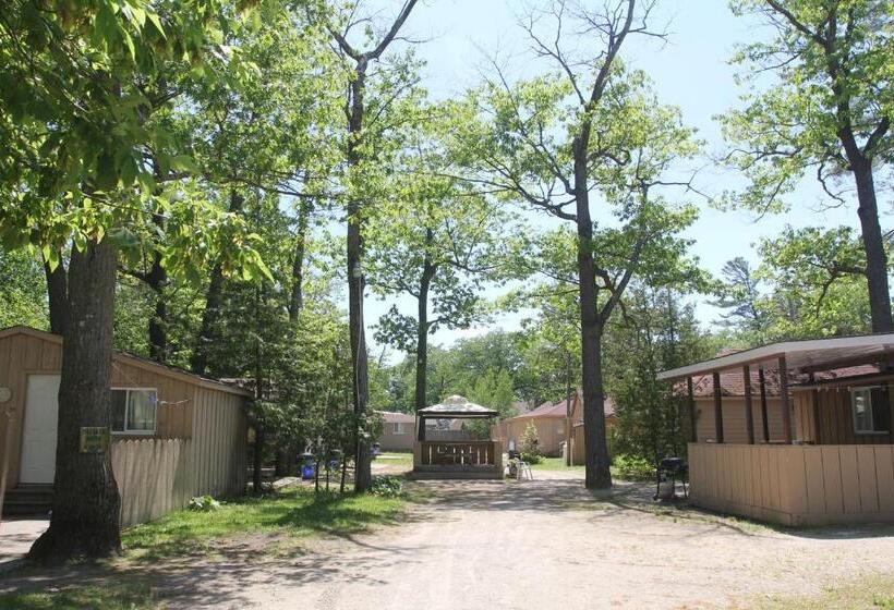 一居室别墅, Saga Resort