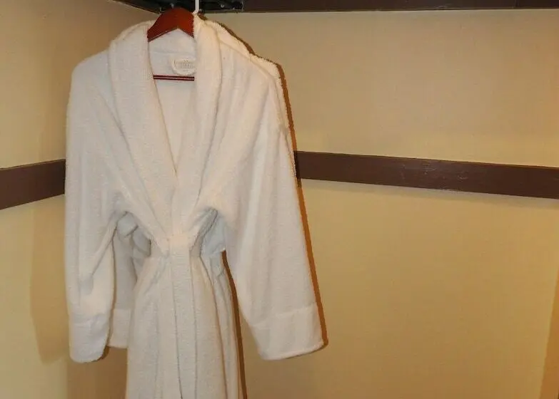 Deluxe-huone, Champaign Garden Inn
