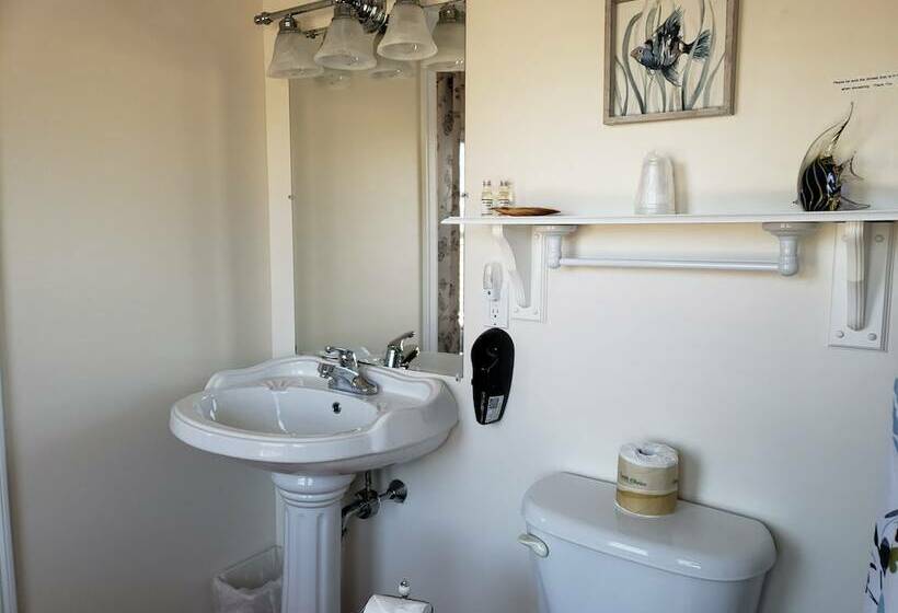 豪华房间, Elmere House Bed & Breakfast