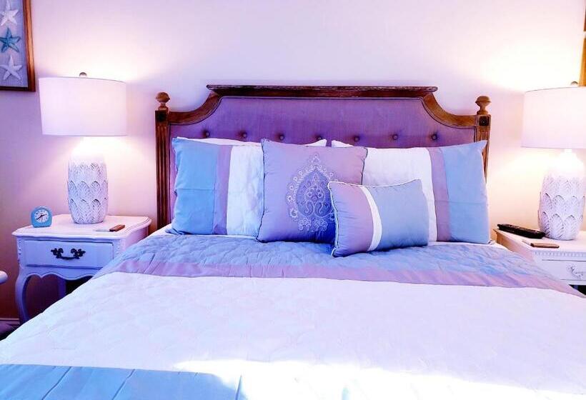 豪华房间, Elmere House Bed & Breakfast