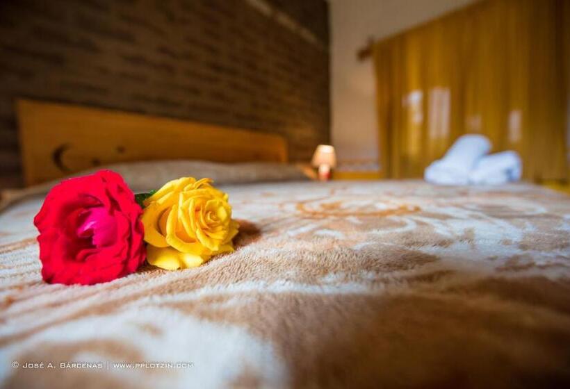 اتاق استاندارد با تخت بزرگ, Casa Pomarrosa