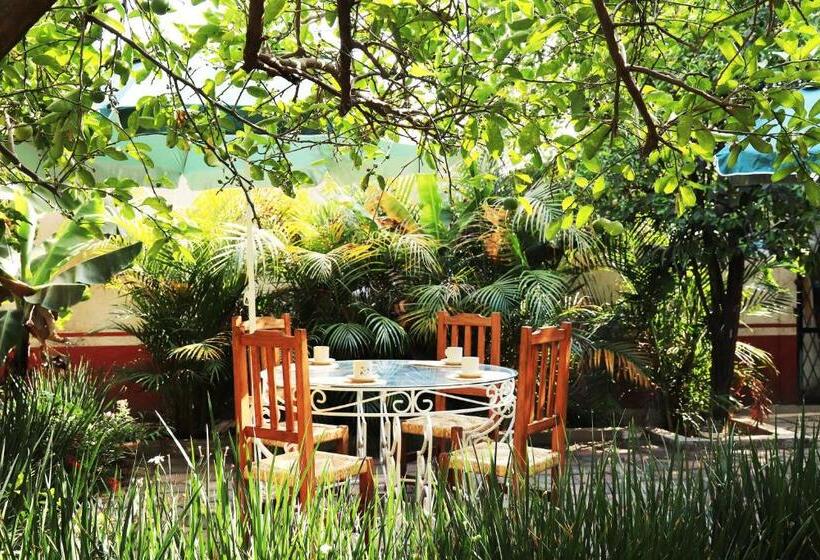 بنگله خانوادگی, Casa Pomarrosa