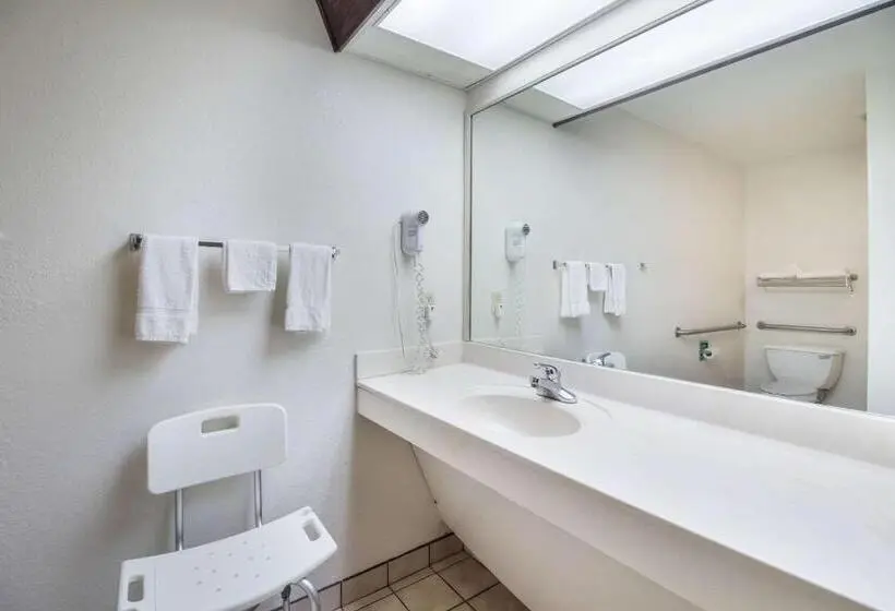 身障者適用キングサイズベッドルーム, Rodeway Inn