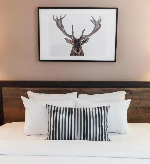 キングサイズベッドのスイートルーム, Inn At Mount Shasta