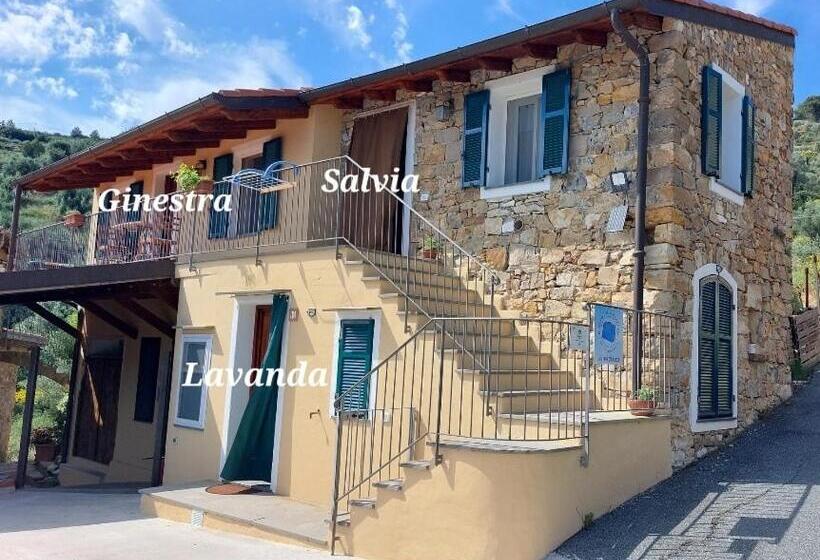 اتاق استاندارد با چشمانداز دریا, Il Nido Del Viaggiatore