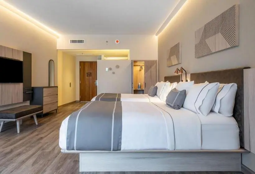 ２ダブルベッドのスタンダードルーム, City Express Plus By Marriott Monterrey Centro